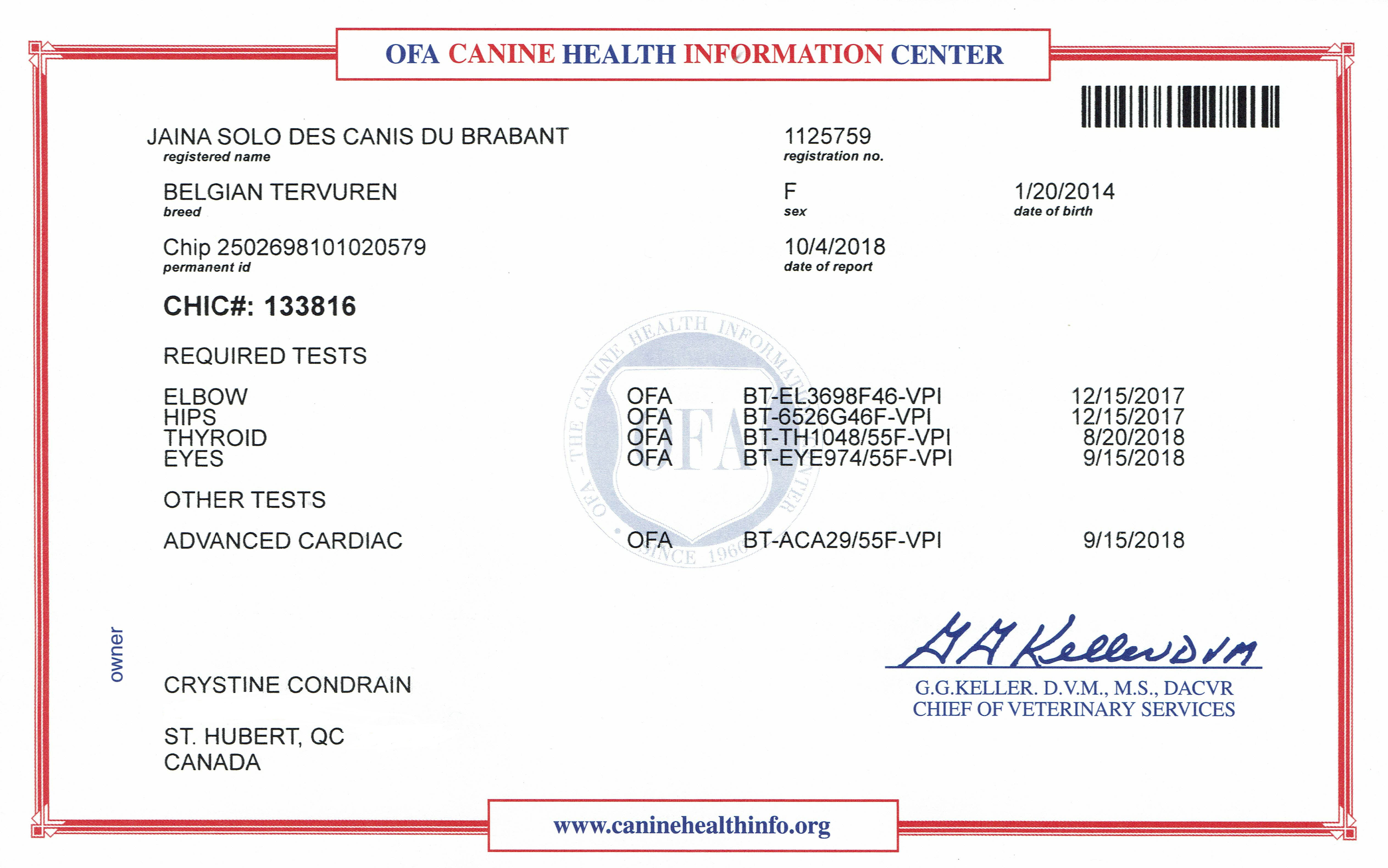 Certificat CHIC (Canine Health Information Center) #133816.